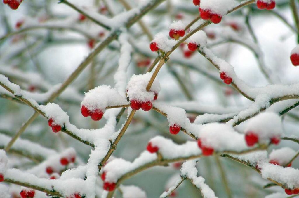 Pourquoi les fenêtres transpirent-elles en hiver ?